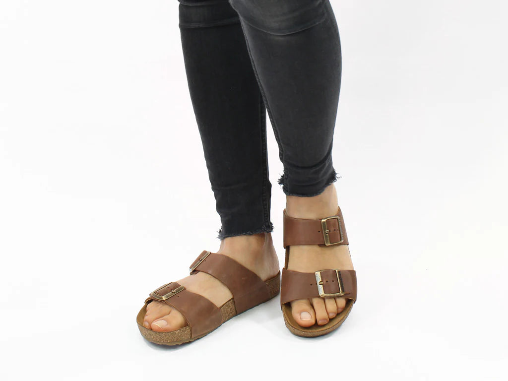 Andrea Brown/Chocolate