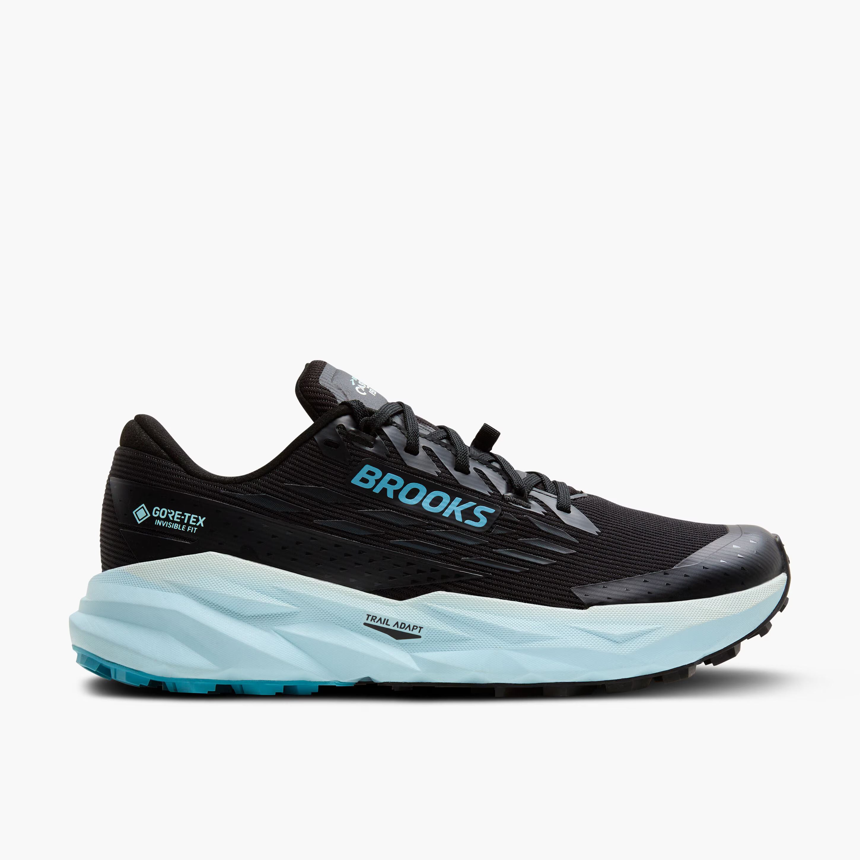Cascadia 19 GTX Black/Blue (Women's size scale)